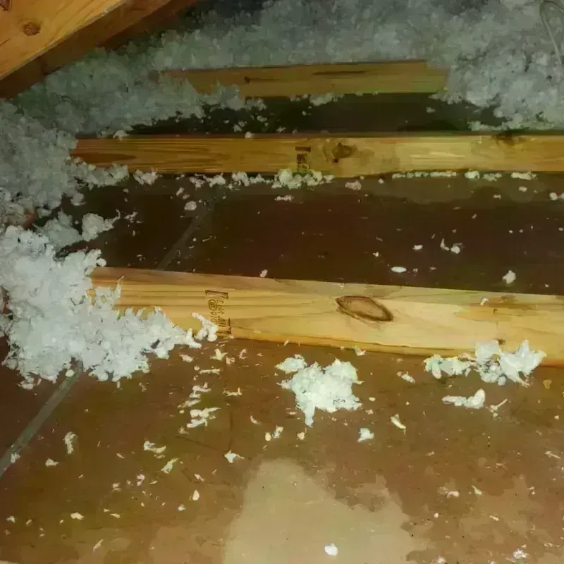 Attic Water Damage in Calhoun County, AL