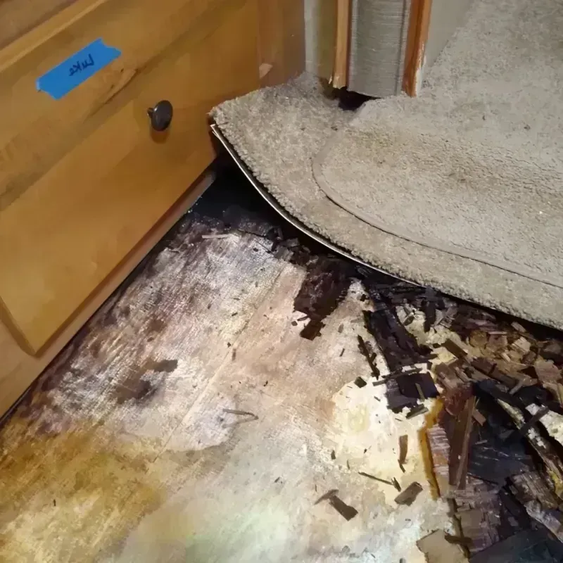 Wood Floor Water Damage in Calhoun County, AL